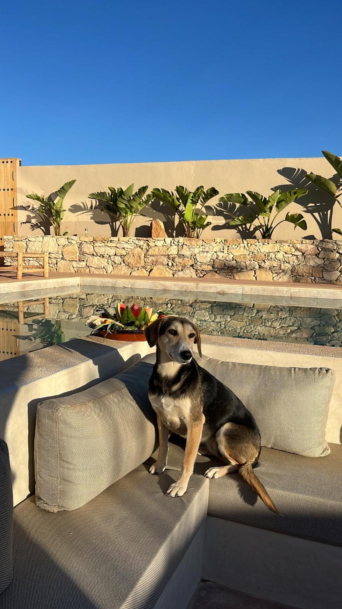 Bed and Breakfast Argan House Morocco Taghazout Exteriér fotografie
